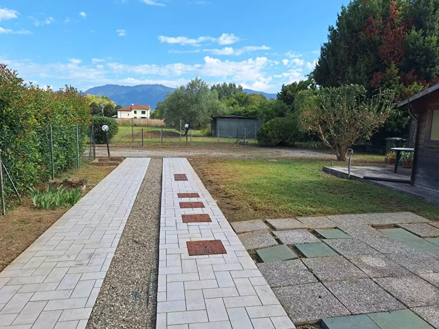 Immagine 6 di Appartamento in vendita  a Capannori