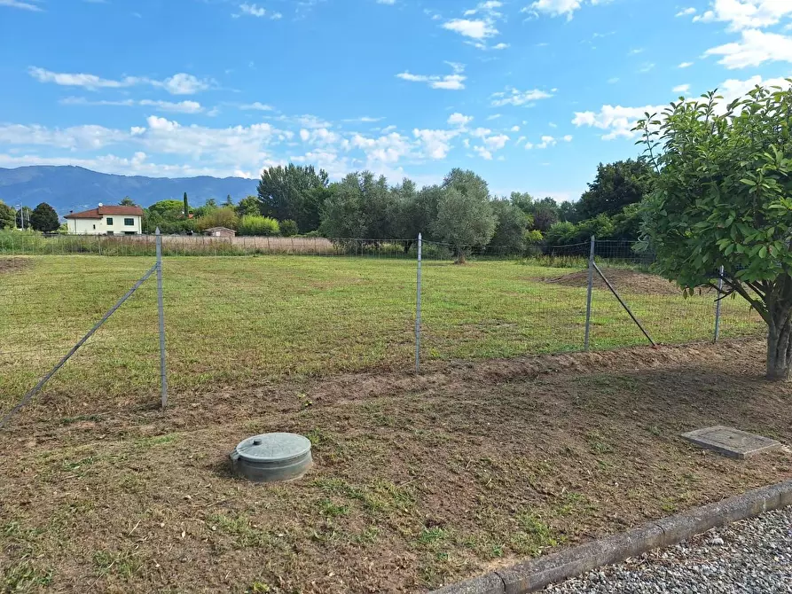 Immagine 23 di Appartamento in vendita  a Capannori