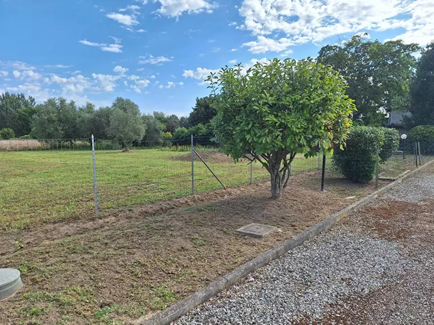 Immagine 24 di Appartamento in vendita  a Capannori