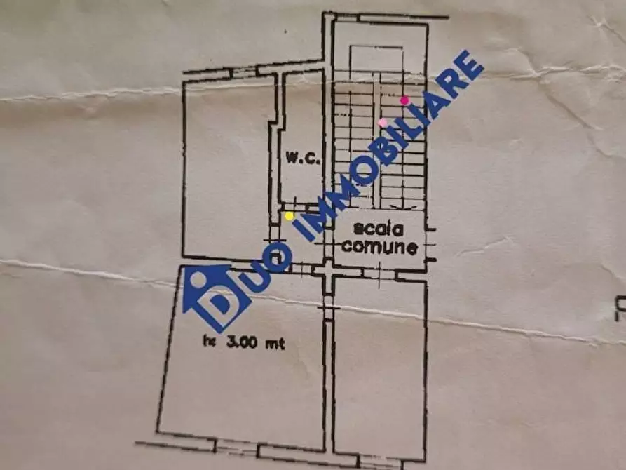 Immagine 6 di Appartamento in vendita  a Pisa