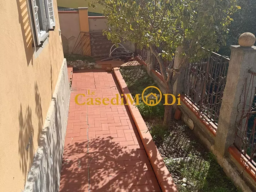 Immagine 15 di Terratetto in vendita  a Rosignano Marittimo