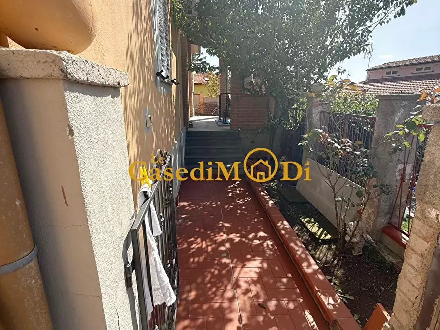 Immagine 18 di Terratetto in vendita  a Rosignano Marittimo