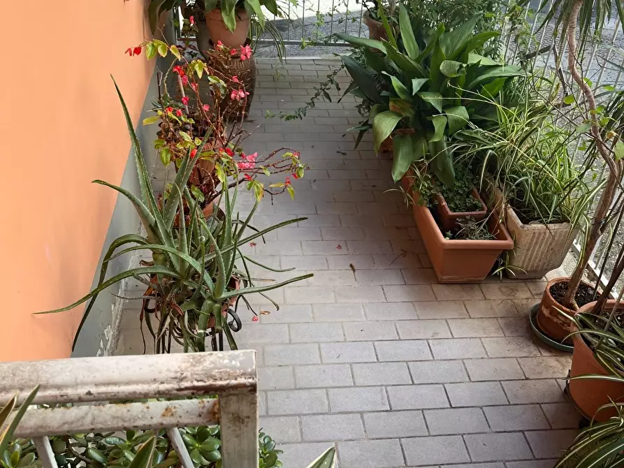 Immagine 1 di Casa indipendente in vendita  a Massa