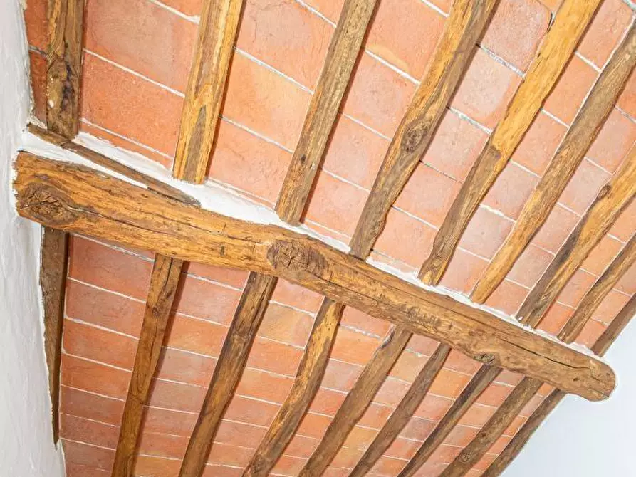 Immagine 15 di Appartamento in vendita  a Buti