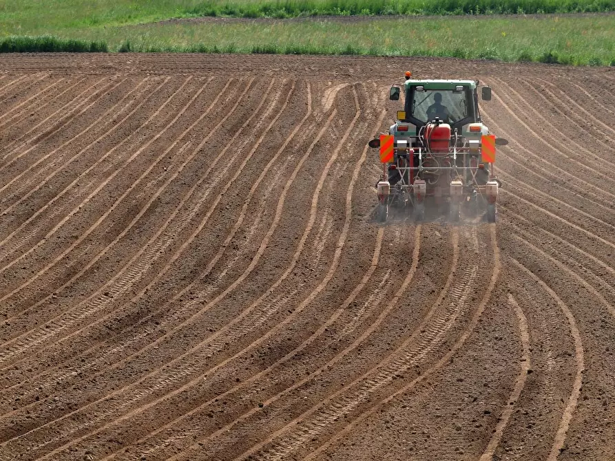 Immagine 3 di Terreno agricolo in vendita  a Cascina