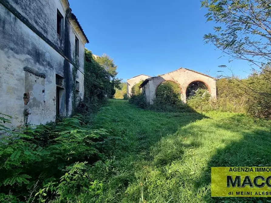 Immagine 3 di Rustico / casale in vendita  a Terricciola