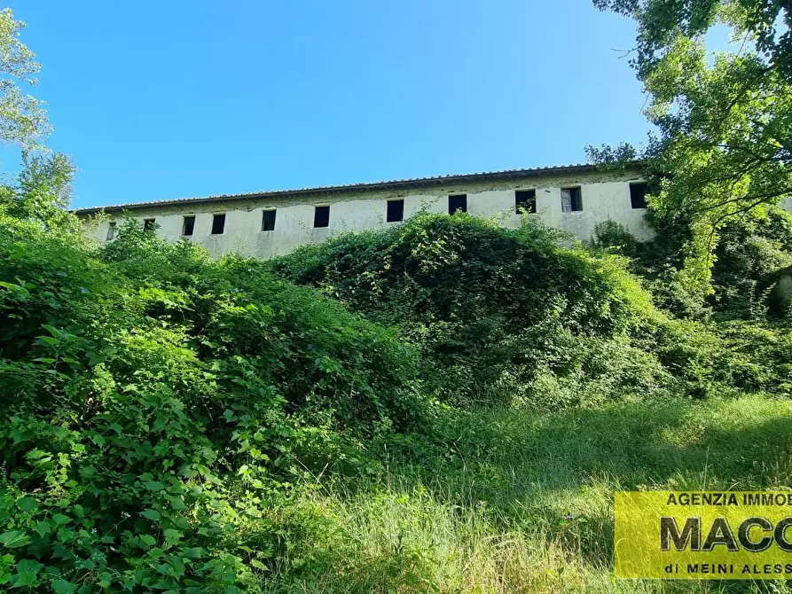 Immagine 2 di Rustico / casale in vendita  a Terricciola