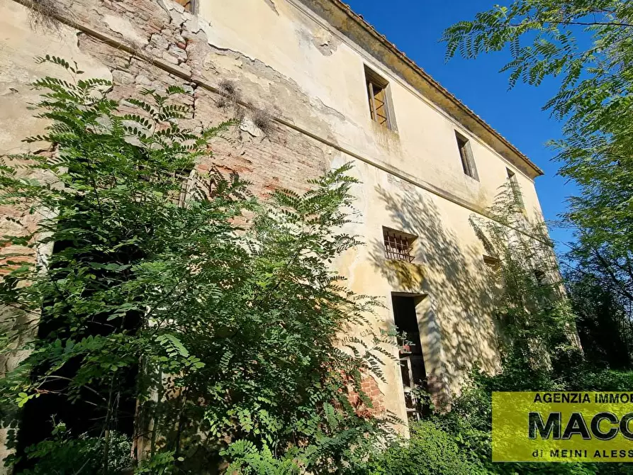 Immagine 4 di Rustico / casale in vendita  a Terricciola