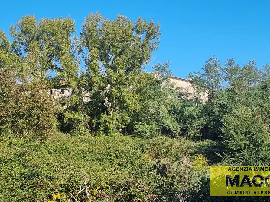 Immagine 6 di Rustico / casale in vendita  a Terricciola