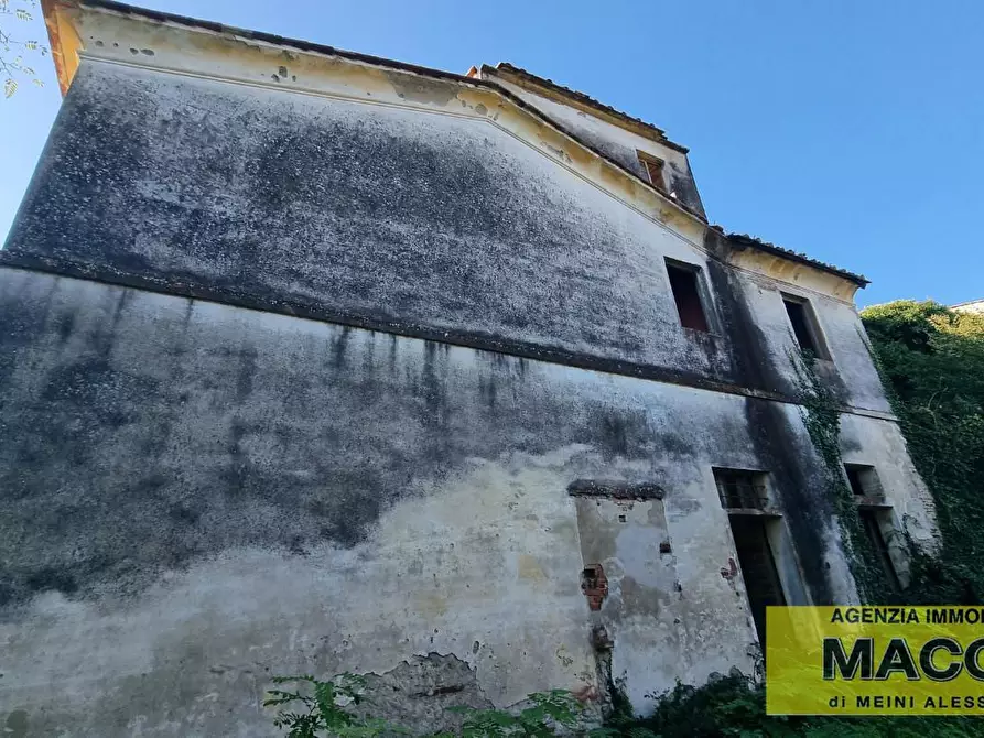 Immagine 5 di Rustico / casale in vendita  a Terricciola