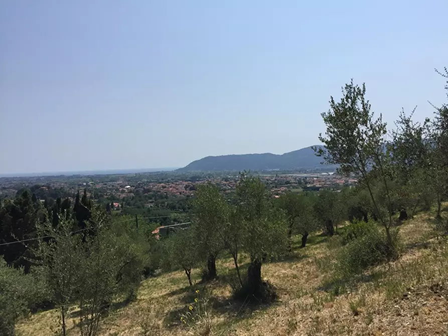 Immagine 10 di Villa in vendita  a Castelnuovo Magra