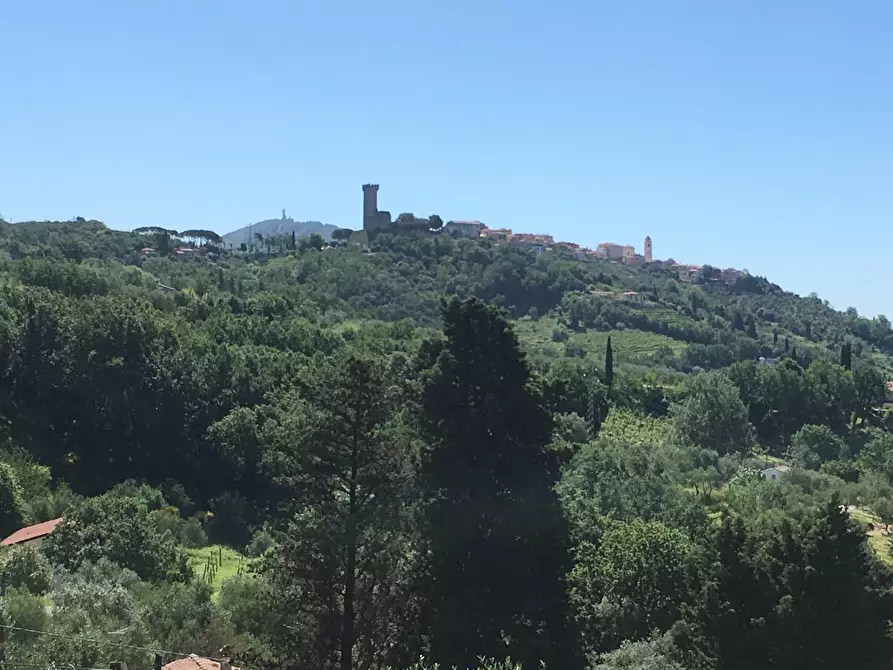 Immagine 9 di Villa in vendita  a Castelnuovo Magra