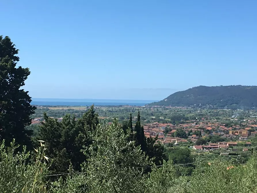 Immagine 8 di Villa in vendita  a Castelnuovo Magra