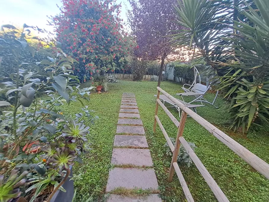 Immagine 18 di Terratetto in vendita  a Vinci