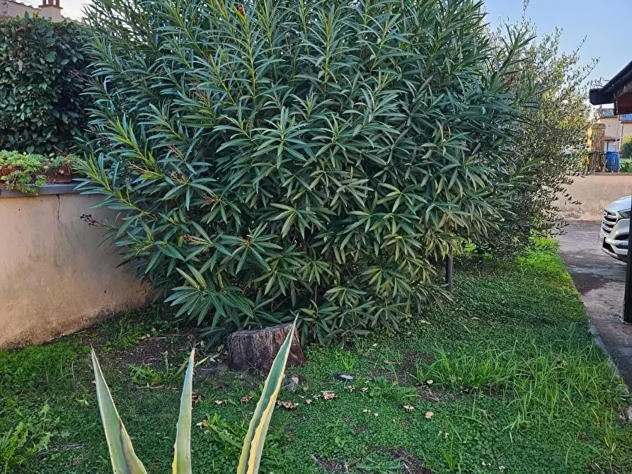 Immagine 14 di Terratetto in vendita  a Cascina