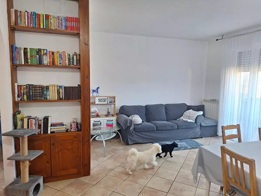 Immagine 4 di Appartamento in vendita  a Capannori