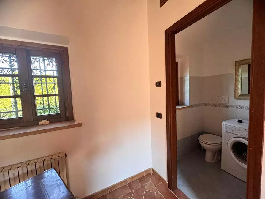 Immagine 14 di Appartamento in affitto  a Siena