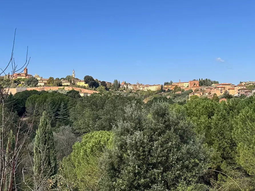 Immagine 17 di Appartamento in affitto  a Siena