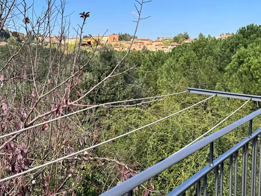 Immagine 18 di Appartamento in affitto  a Siena