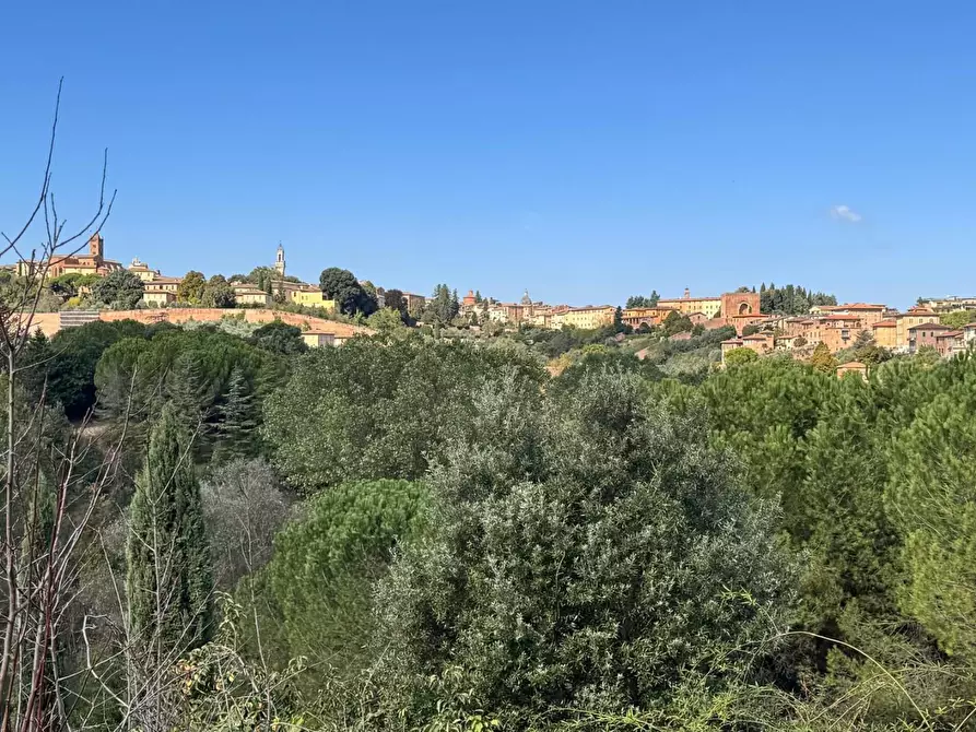 Immagine 16 di Appartamento in affitto  a Siena