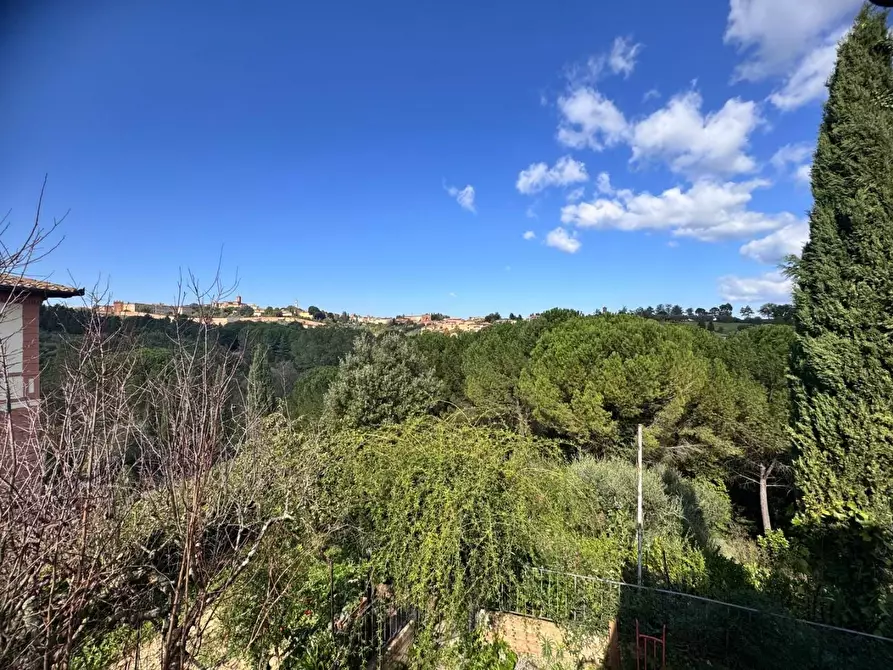 Immagine 15 di Appartamento in affitto  a Siena