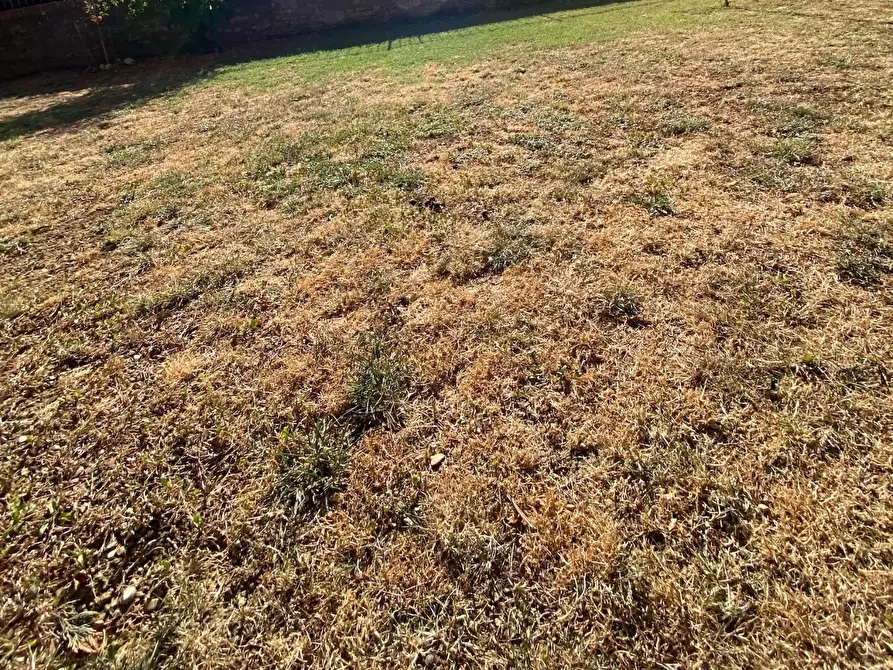 Immagine 25 di Appartamento in vendita  a Montelupo Fiorentino