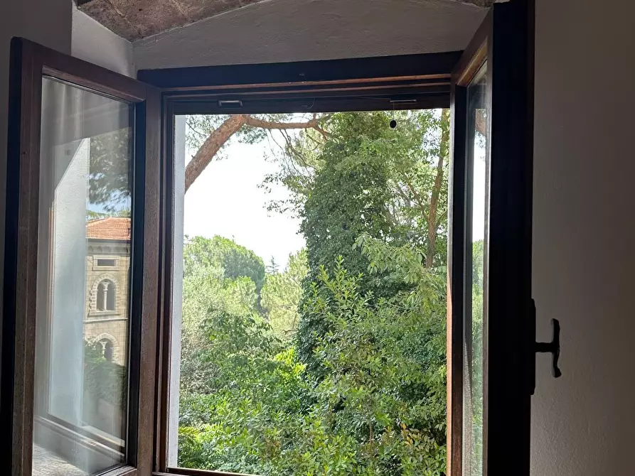 Immagine 3 di Appartamento in vendita  a Campiglia Marittima