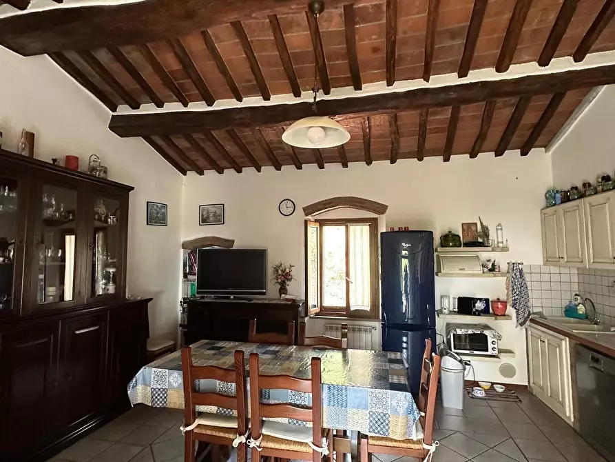 Immagine 7 di Appartamento in vendita  a Campiglia Marittima