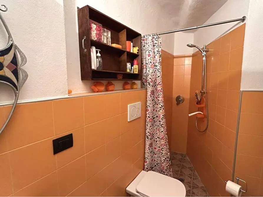 Immagine 28 di Terratetto in vendita  a Arcola