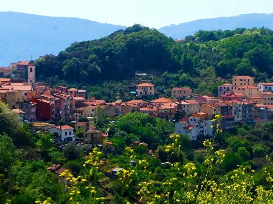 Immagine 29 di Terratetto in vendita  a Arcola