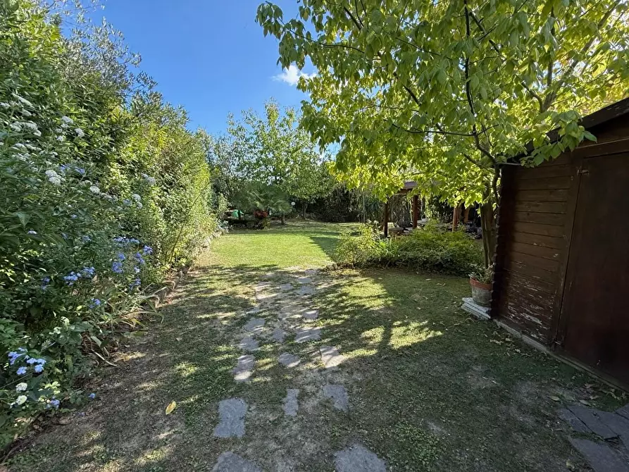 Immagine 7 di Casa colonica in vendita  a Certaldo