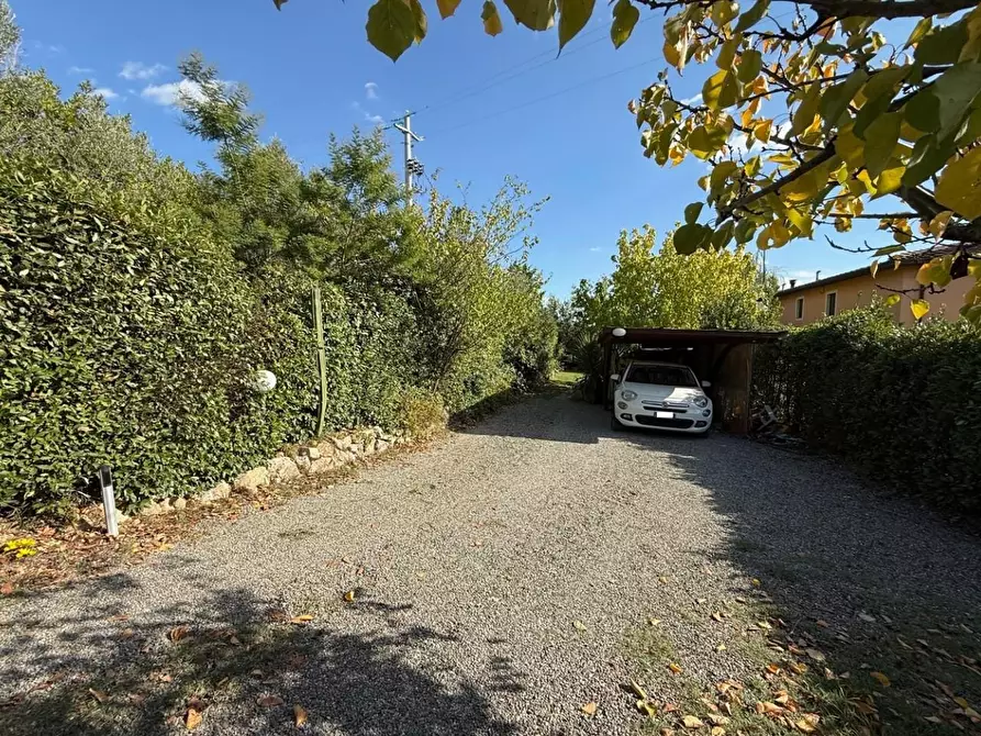 Immagine 5 di Casa colonica in vendita  a Certaldo