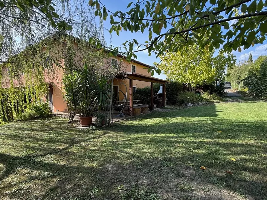 Immagine 2 di Casa colonica in vendita  a Certaldo