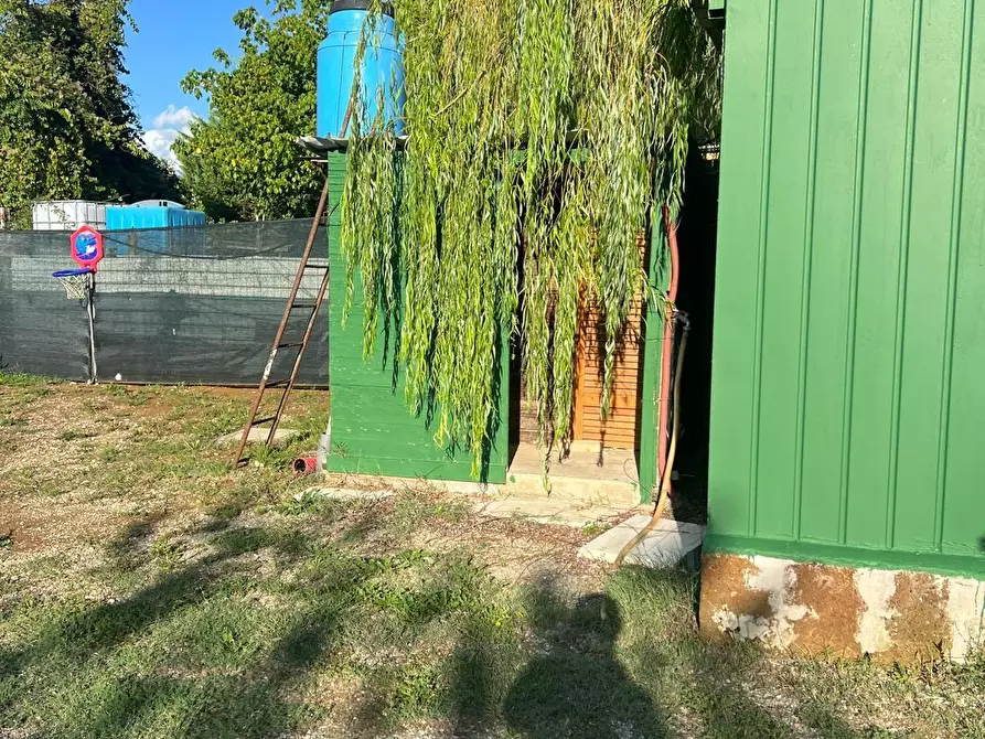 Immagine 4 di Terreno agricolo in vendita  a Colle Di Val D'elsa
