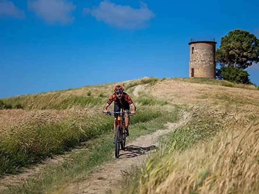 Immagine 40 di Casa indipendente in vendita  a Bibbona