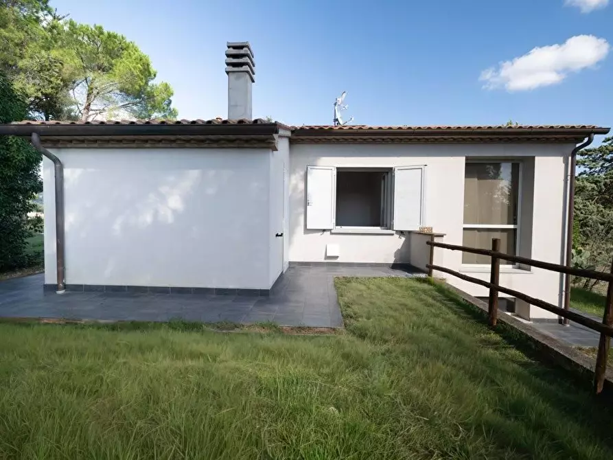 Immagine 12 di Casa indipendente in vendita  a Bibbona