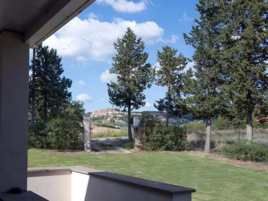 Immagine 14 di Casa indipendente in vendita  a Bibbona