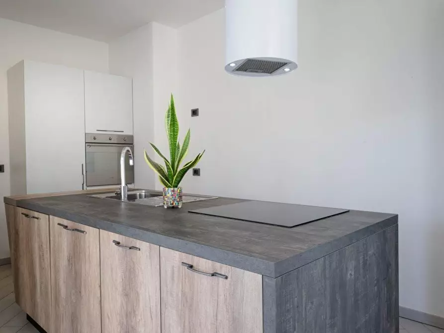 Immagine 19 di Casa indipendente in vendita  a Bibbona