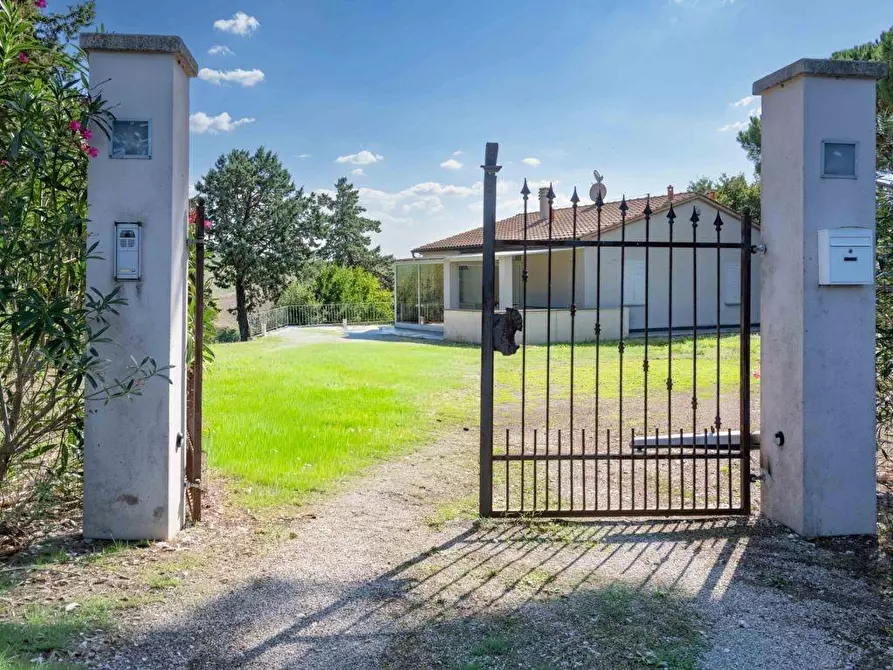 Immagine 2 di Casa indipendente in vendita  a Bibbona