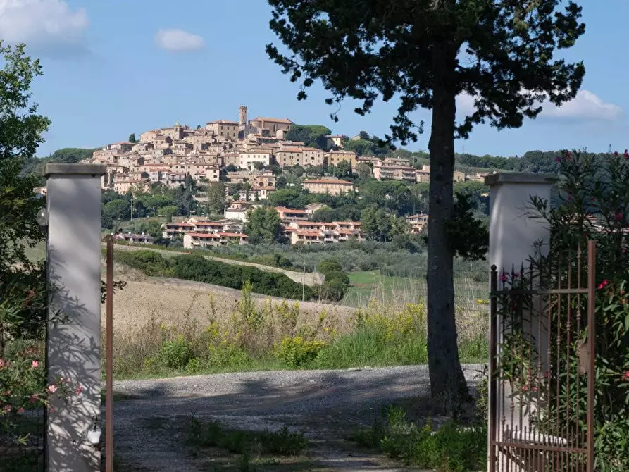 Immagine 11 di Casa indipendente in vendita  a Bibbona
