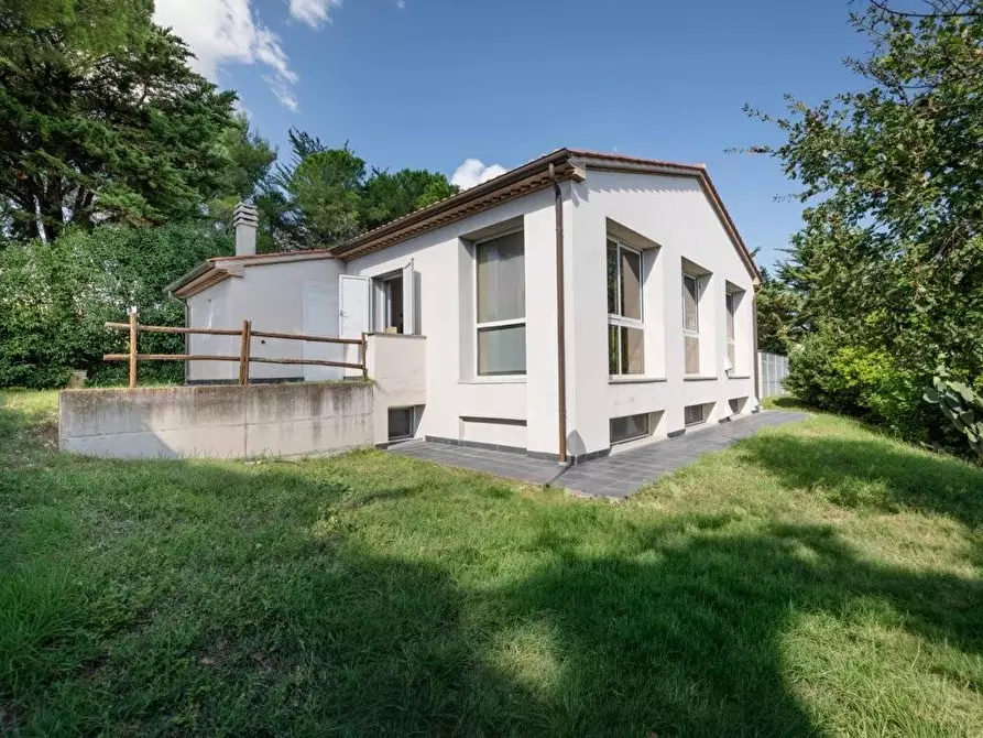 Immagine 3 di Casa indipendente in vendita  a Bibbona