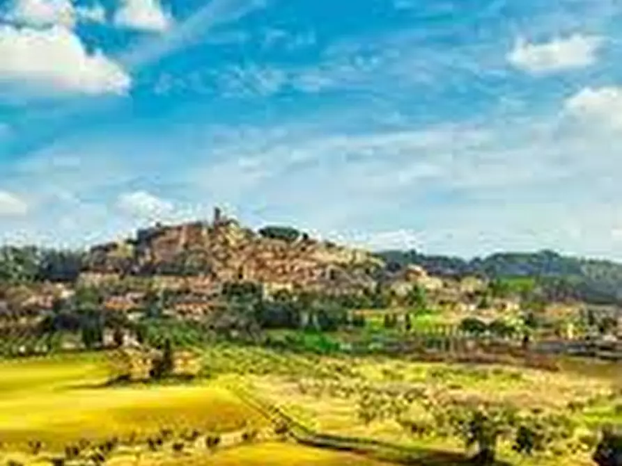 Immagine 39 di Casa indipendente in vendita  a Bibbona