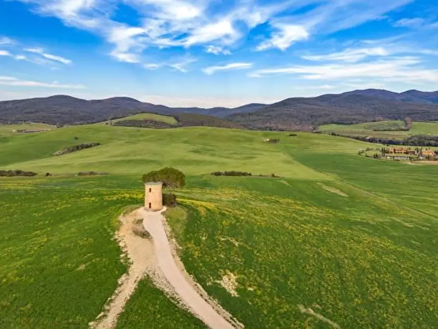 Immagine 42 di Casa indipendente in vendita  a Bibbona