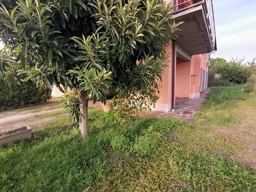 Immagine 1 di Terratetto in vendita  a Fucecchio