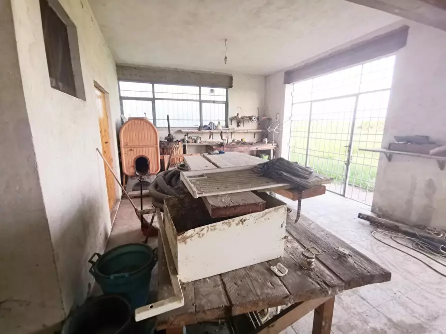 Immagine 5 di Terratetto in vendita  a Fucecchio