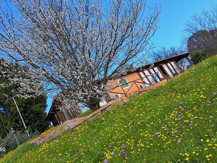 Immagine 24 di Rustico / casale in affitto  a Crespina Lorenzana