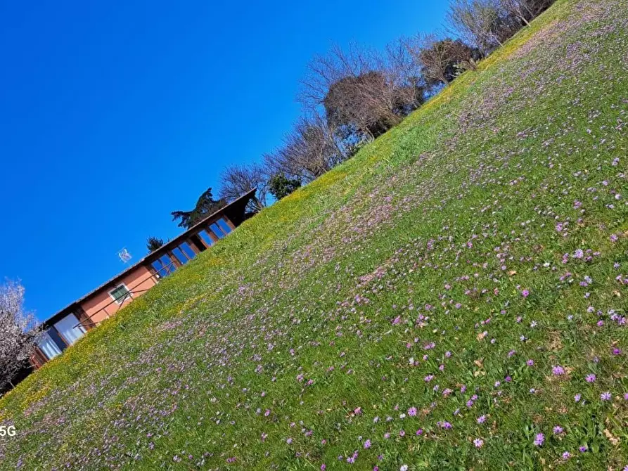 Immagine 30 di Rustico / casale in affitto  a Crespina Lorenzana
