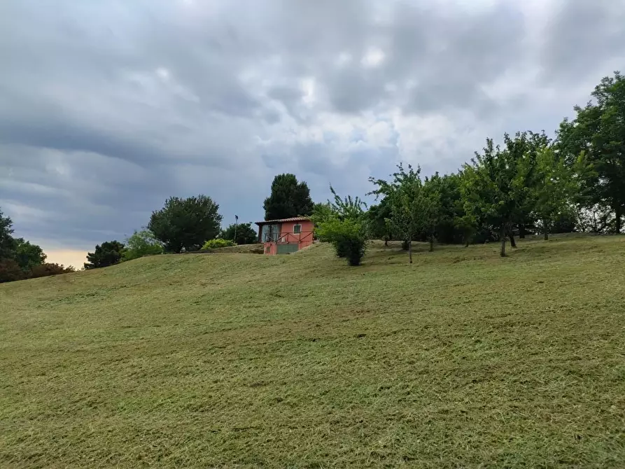 Immagine 29 di Rustico / casale in affitto  a Crespina Lorenzana