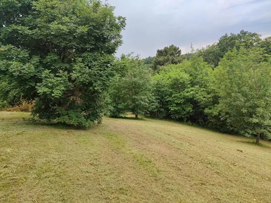 Immagine 33 di Rustico / casale in affitto  a Crespina Lorenzana