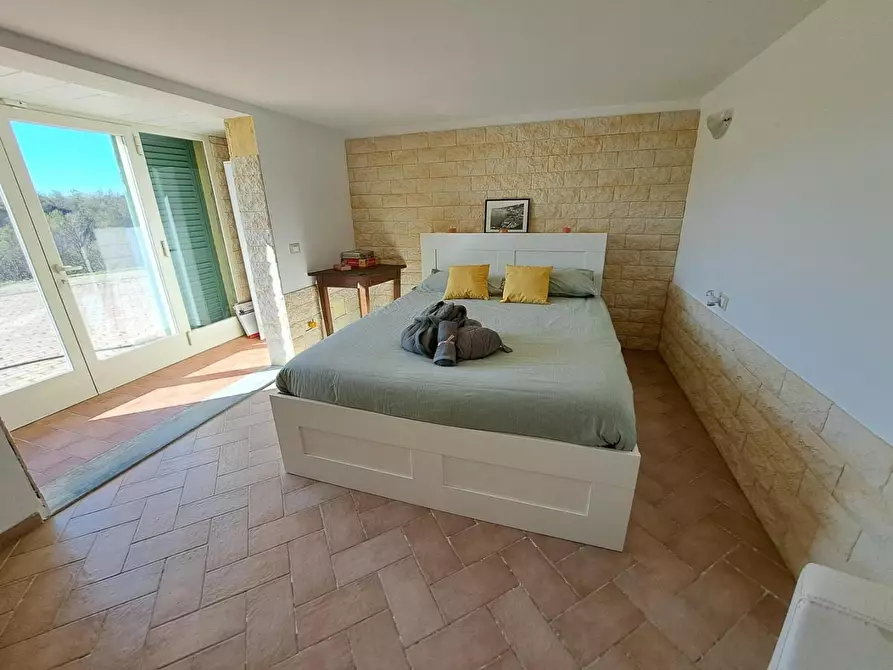 Immagine 11 di Rustico / casale in affitto  a Crespina Lorenzana